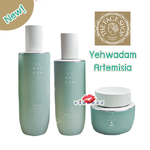 TheFaceShop Yehwadam Artemisia Soothing Moisturizing สูตรใหม่ เอาใจสาวผิวมัน ช่วยเรื่องความเปล่งปลั่ง กระจ่างใส ให้ผิวยืดหยุ่น พร้อมฟื้นบำรุงผิวให้กลับมามีชีวิตชีวา