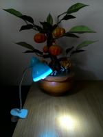 โคมไฟแบบหนีบ