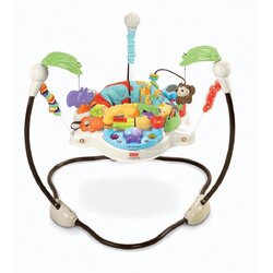 เก้าอี้กระโดดเด้งดึ๋ง Fisher-Price Jumperoo Love U Zoo