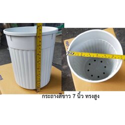 P01459 กระถางกลม 7 นิ้ว ทรงสูง ราคาส่งต่อ 1 โหล:12 อัน (240 บ/โหล )