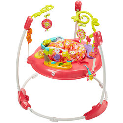 เก้าอี้กิจกรรมกระโดดดึ๋งสีชมพูแสนหวาน Fisher-Price Pink Petals Jumperoo