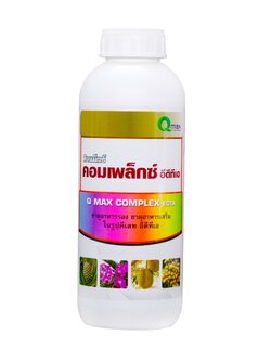 คอมเพล็กซ์ (1,000 ซี.ซี.)