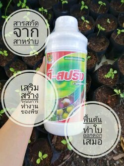 ที-สปริง สารบำรุงพืช สกัดจากสาหร่ายธรรมชาติ น้ำสีเขียว