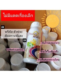 พรีครัส อาหารช่วยพืชสังเคราะห์แสง ขนาด 1000 มล.