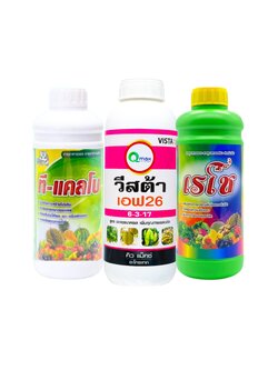 ชุดบำรุงผล ขยายผล ขั้วเหนียว ผลผลิตดีคุณภาพเยี่ยม