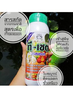 ที-เซ็ต สารสกัดธรรมชาติสูตรสะสมอาหารเพื่อการออกดอก ใบเข้มเขียว มันสมบูรณ์