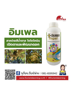 อิมเพล สาหร่ายสูตรเปิดตาดอก ใช้ในการเปิดตาดอกทุเรียน