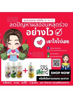 ชุด 3 สหาย+คริปโต 14-14-14 ผลอ่อนร่วงจาก สภาวะอากาศที่ตึงเครียด ทั้งหมด 4 ขวด