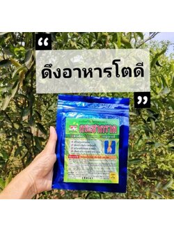 สารอินทรีย์สกัดจากธรรมชาติ กระชากราก สารเสริมฤทธิ์อาหารพืช ขนาด100กรัม