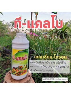 ที-แคลโบ แคลเซียมโบรอน ออกดอกสมบูรณ์ ติดผลดี