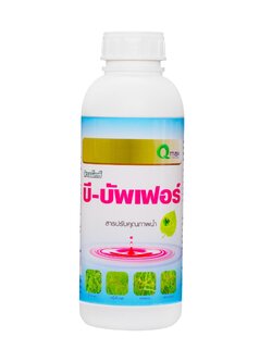 บี บัพเฟอร์ (1,000 ซี.ซี.)