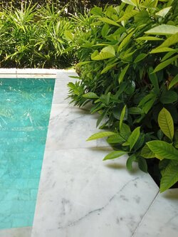 หินปูสระว่ายน้ำ ขนาด10*10CM หินอ่อนขาวเทาลายเมฆ (PWS)