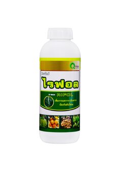 ไรฟอล (1,000 ซี.ซี.)