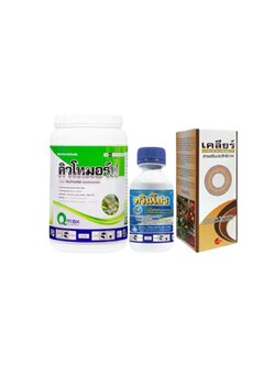 ชุดหยุดท็อป รวดเร็ว ครอบคลุมหลายเชื้อ ป้องกันการลุกลาม