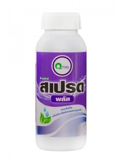 สเปรด พลัส (100 ซี.ซี. )