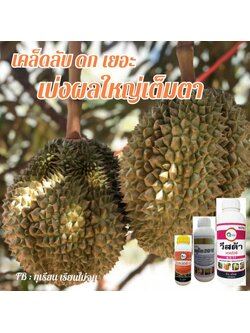 ชุดขึ้นลูก บำรุงผล พูตึว ผลใหญ่ น้ำหนักดี 3ขวด พ่นได้น้ำ1000ลิตร