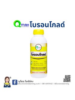 คิวแมกซ์ โบรอนโกลด์