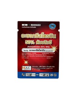 อะซอกซีสโตรบิน ชนิดผง ขนาด 100 กรัม แพ็ค 10 ซอง