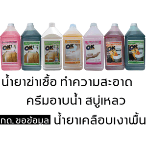 อุปกรณ์ทําความสะอาดอื่นๆ