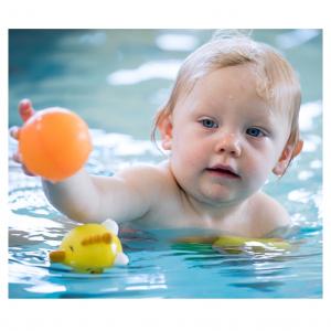 Pool Floats & Pool Items