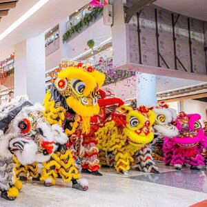 การแสดงเชิดสิงโต มังกร