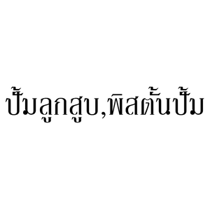 ปั้มลูกสูบ,พิสตั้นปั้ม