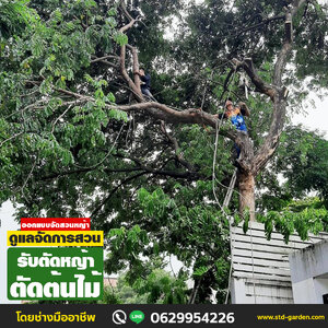 A6 รับตัดหญ้าตัดต้นไม้