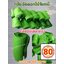 กลีบอัด สีเขียวตอง กลีบดอกไม้จัน ดอกไม้จัน กลีบอัดดอกไม้จันทน์ กลีบอัดย่น ดอกไม้จันทร์ ดอกไม้จันทน์ กระดาษอัดดอกไม้จัน