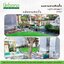 หญ้าเทียม รุ่น 3 cm. 3สี สปริง เกรดพรีเมี่ยม Urbano Grass เออบาโน่กร๊าส สำหรับแต่งสวน แต่งคอนโด แต่งร้าน