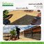 หญ้าเทียม รุ่น 2 cm.สีเขียมแซมน้ำตาล เกรดพรีเมี่ยม Urbano Grass เออบาโน่กร๊าส สำหรับแต่งสวน