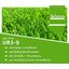 หญ้าเทียม รุ่น 3 cm. 3สี สปริง เกรดพรีเมี่ยม Urbano Grass เออบาโน่กร๊าส สำหรับแต่งสวน แต่งคอนโด แต่งร้าน