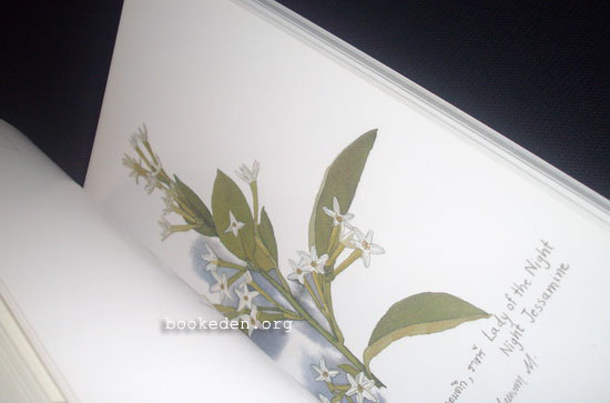 อารมณ์ดอกไม้