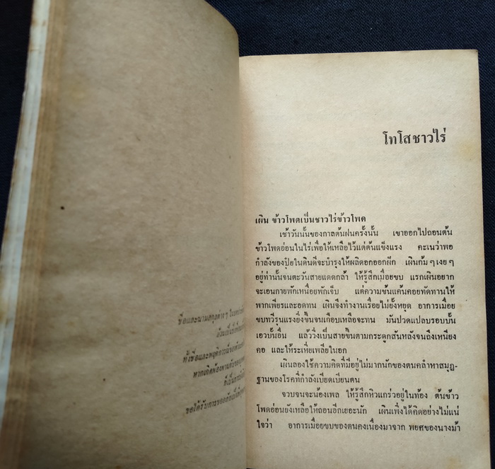 เสเพลบอยชาวไร่ **มีลายเซ็น 'รงค์ วงษ์สวรรค์ (ตำหนิ)