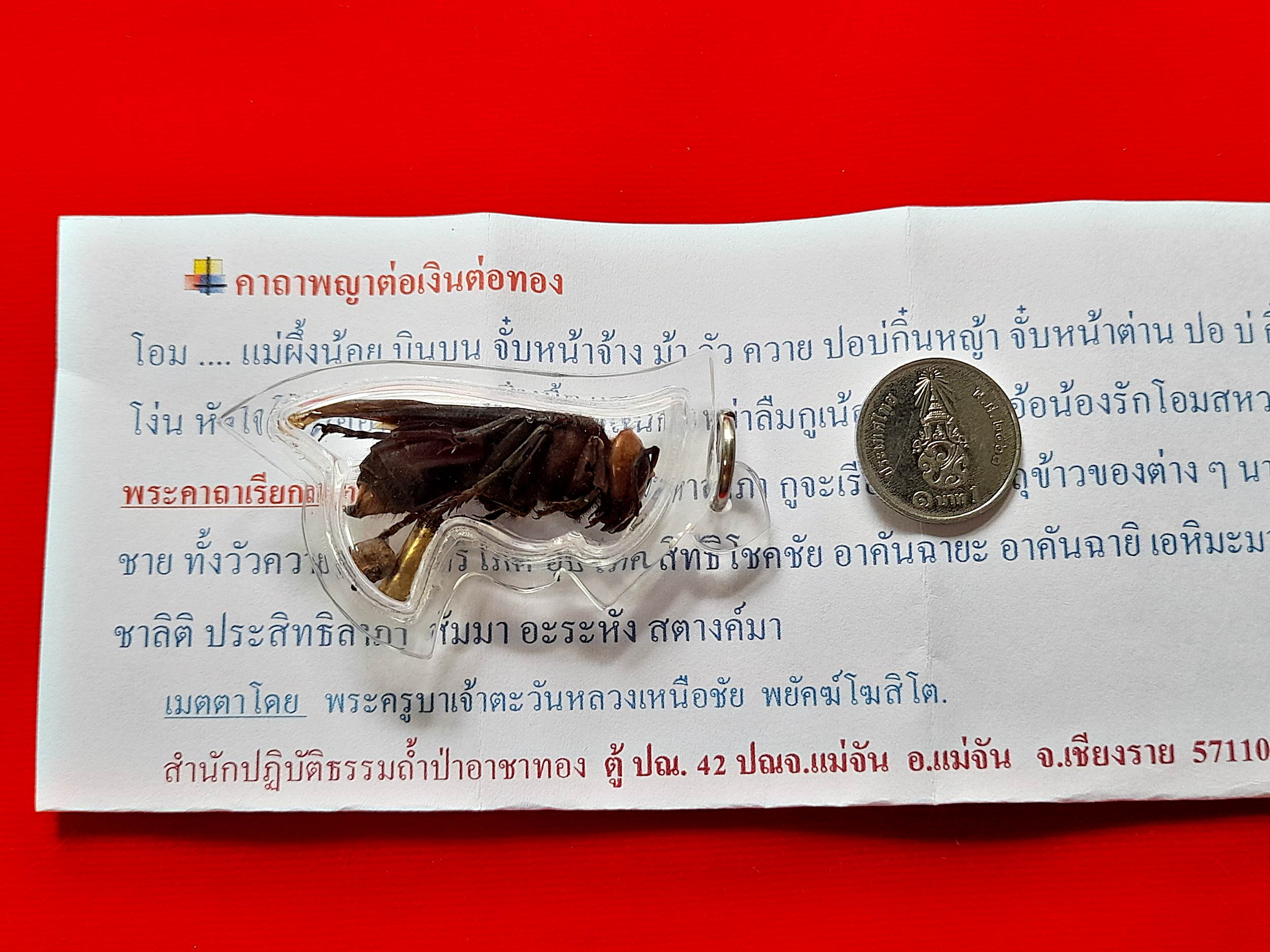 พญาต่อเงินต่อทอง (ใช้ ตัวต่อจริงที่ตายแล้ว) + ตะกรุดเรียกเงินเรียกทอง + เม็ดธาตุกายสิทธิ์เหล็กไหลเงินคำ ปี2560 (อานุภาพ เรียกเงิน โชคลาภ ค้าขาย เจรจา) #รับประกันแท้ - พระครูบาเหนือชัย (พระขี่ม้า)