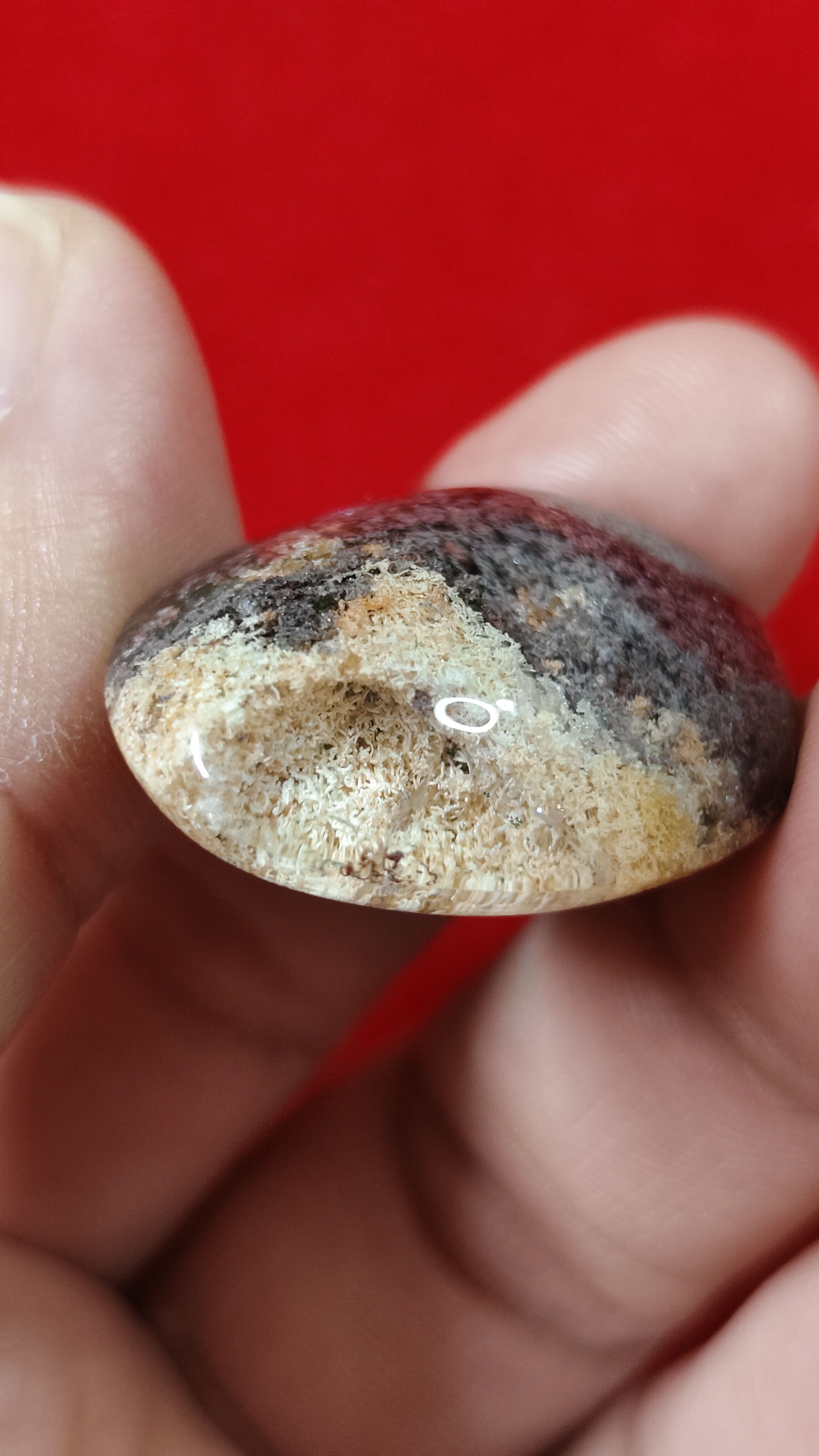 #แก้วโป่งข่าม(แก้วปวก)อ.เถินรหัสg-0041