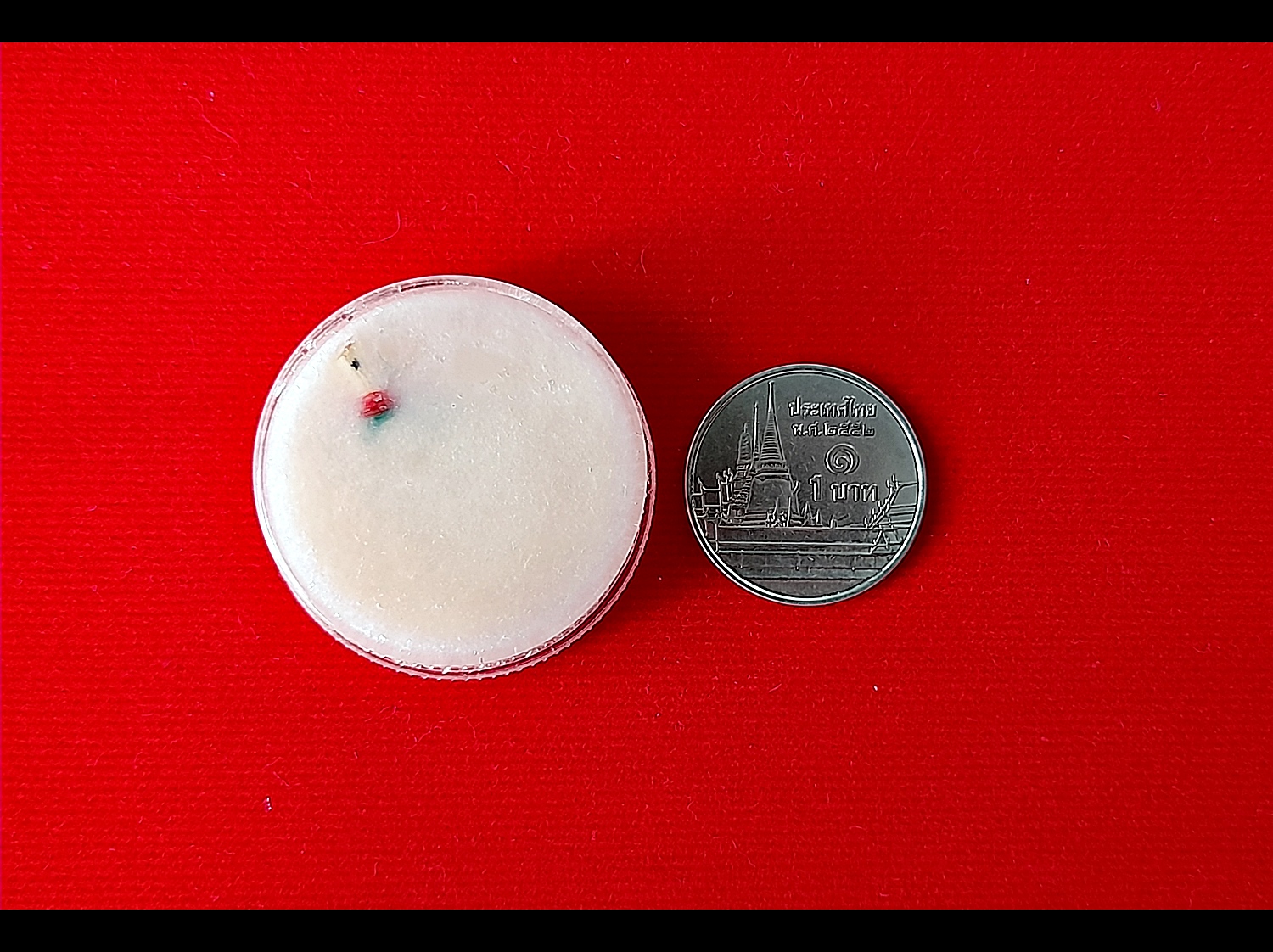 สีผึ้ง นกสาลิกา (เสน่ห์เมตตา, ค้าขาย, เจรจา) - หลวงพ่อกวย วัดโฆสิตาราม(วัดบ้านแค) จ.ชัยนาท ปี2564 - #สร้างและปลุกเสกจากวัดโฆสิตาราม #รับประกันแท้