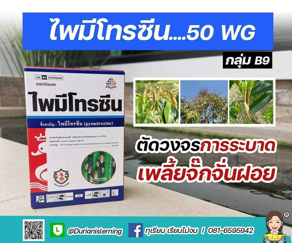 ไพมีโทรซีน กลุ่ม B9 ตัดวงจรเพลี้ยจั๊กจั่นฝอย
