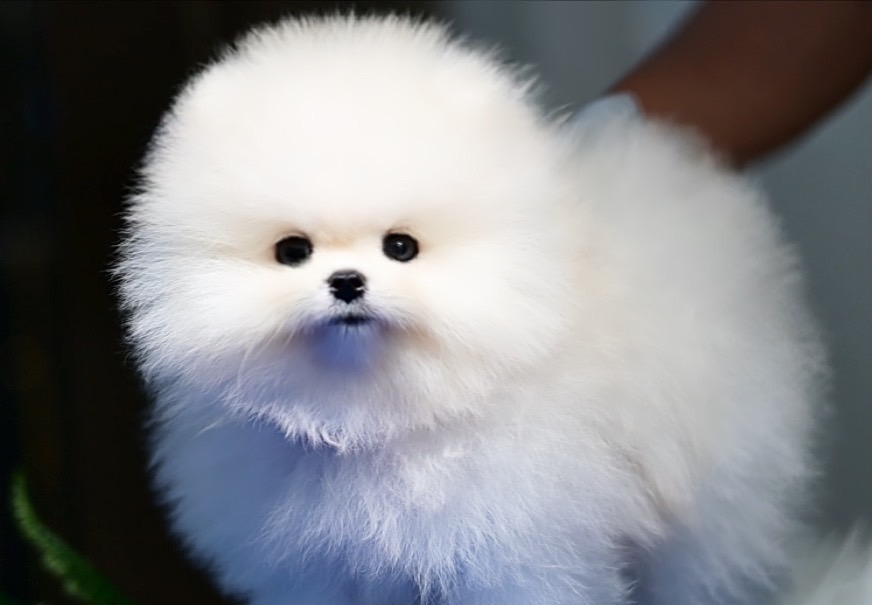 ย้ายบ้านแล้ว