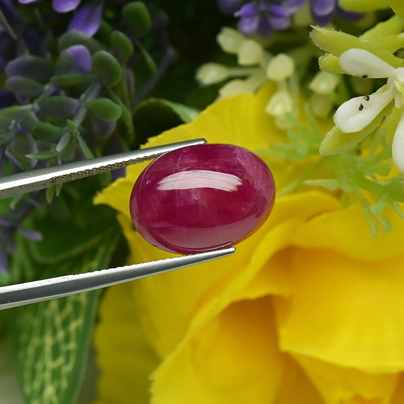 Natural Ruby พลอยแดงหลังเบี้ย รูปไข่ 19.52 กะรัต สีแดงอมชมพู สีหวานสวย ภายในมีตำหนิ ความโค้งนูนสวย