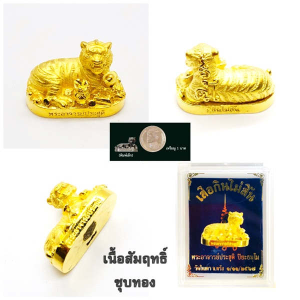 เสือกินไม่สิ้น เนื้อชนวน ชุบกะไหล่ทอง พระอาจารย์ประสูติ วัดในเตา จังหวัดตรัง