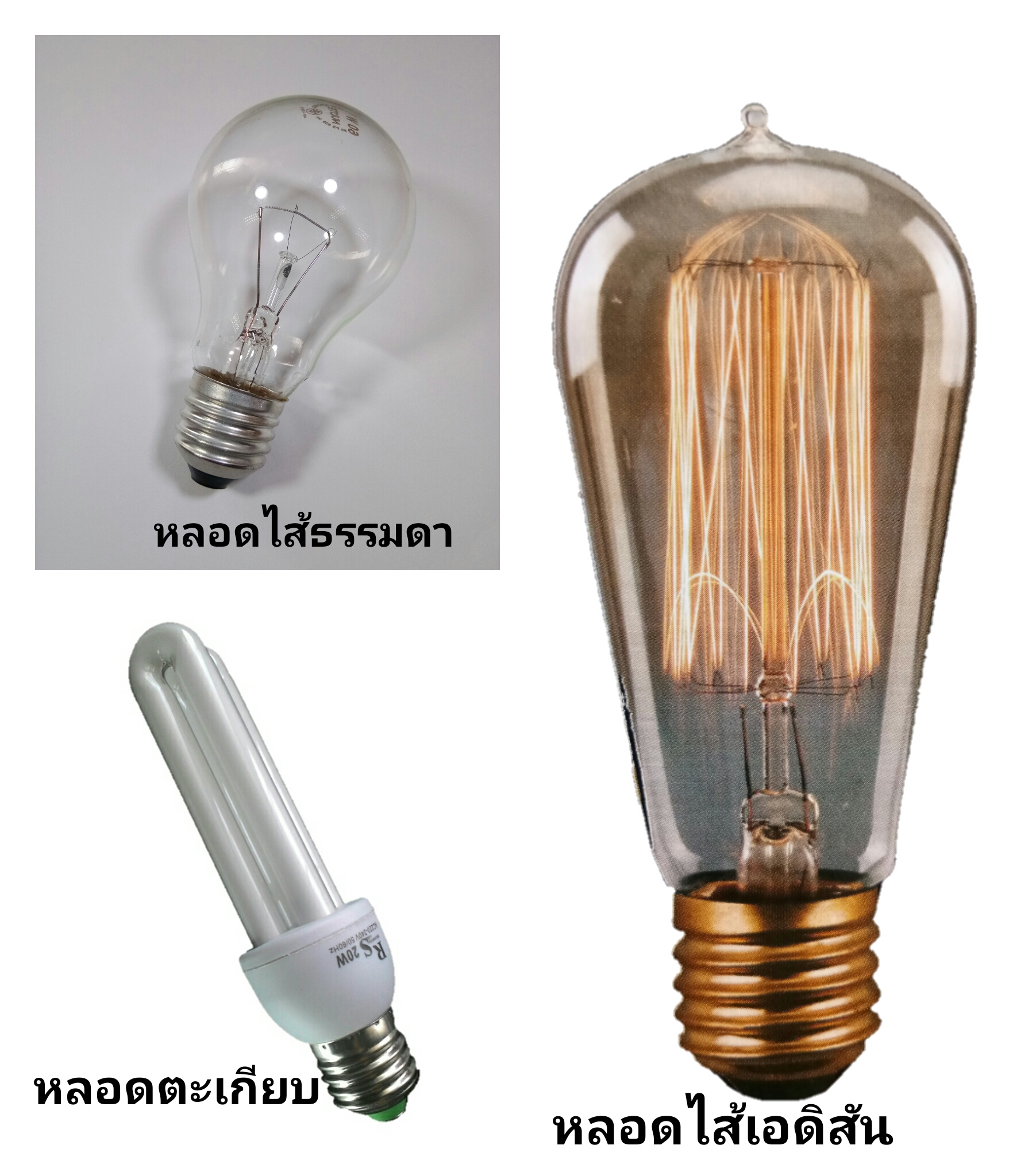 โคมไฟแฟนซีแบบจาน