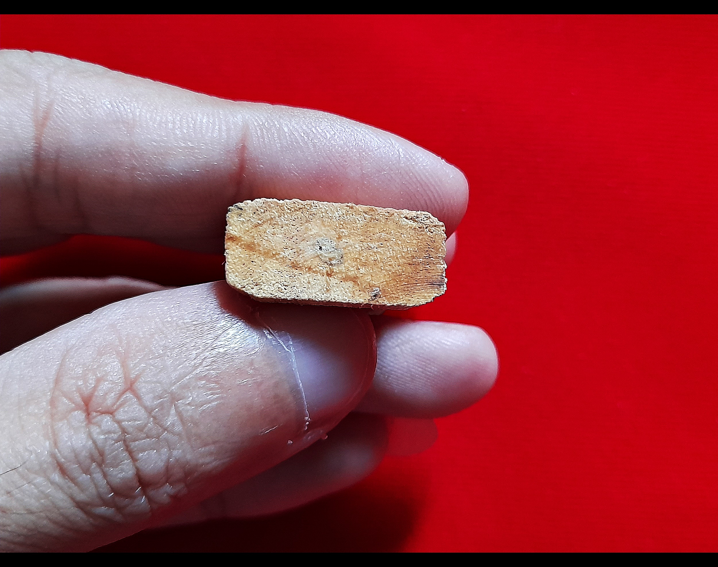 ชุดเครื่องราง เทพพญาวานร ที่มีฤทธิ์เยอะ (#พญาพาลี เนื้อไม้ขนุนฟ้าผ่า #สุครีพหักฉัตร เนื้อไม้พะยูง #องคต เนื้อไม้ขนุนฟ้าผ่า(ฐานบรรจุมวลสาร ผงคชสาร หลวงพ่อดิ่ง วัดบางวัว - ลูกอมหลวงพ่อพริ้ง วัดบางปะกอก) ) ปี2564 #รับประกันแท้ - หลวงพ่อบ๊ะ วัดโพธิ์ลังกา ปลุก