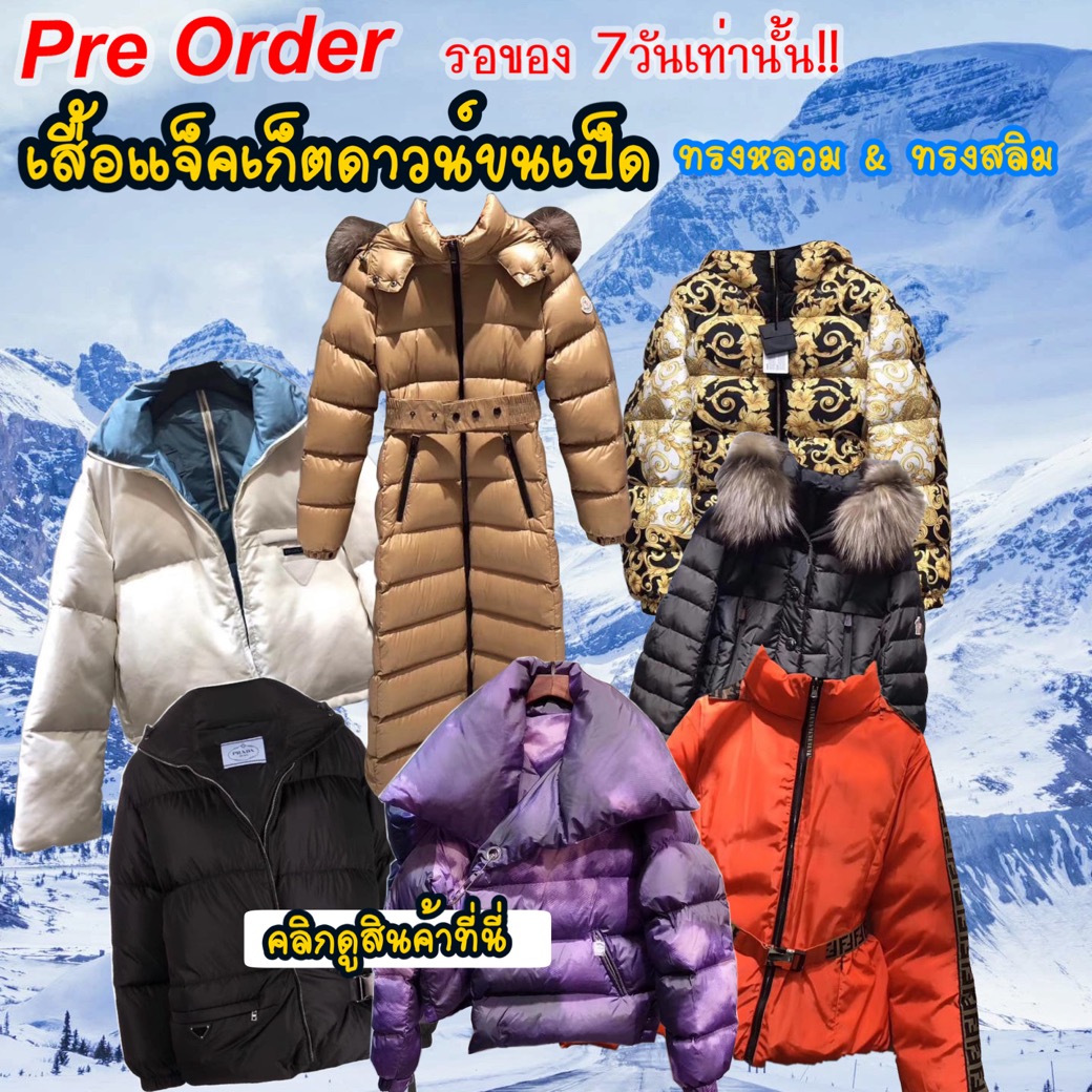 เสื้อกันหนาวขนเป็ดแบรนด์ดัง