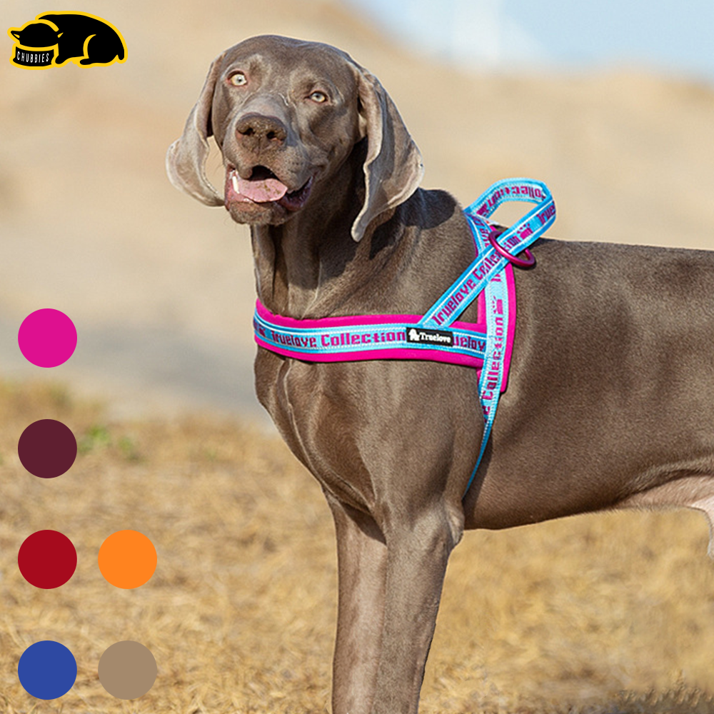 C143 TRUELOVE TH Pet Harness: ปลอกคอรัดอกสุนัข (ใส่ง่ายถอดง่าย) ป้องกันอันตรายจากการกระชาก