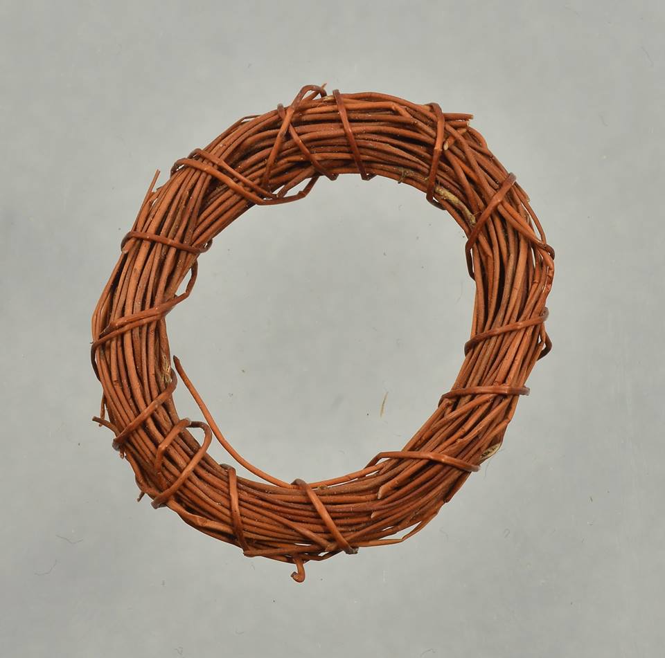 เครือสาวหลง