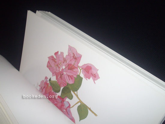 อารมณ์ดอกไม้