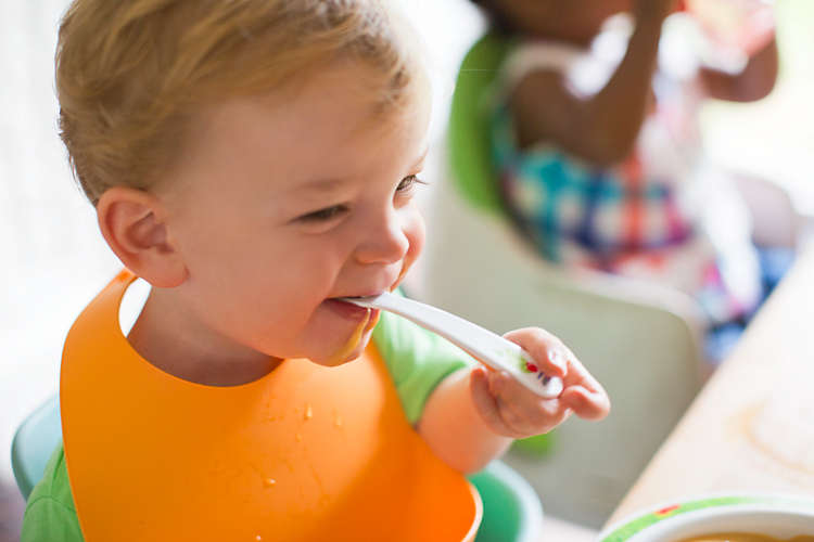 เครื่องนึ่งและบดปั่นอาหาร Philips Avent 2-in-1 Food Steamer and Blender