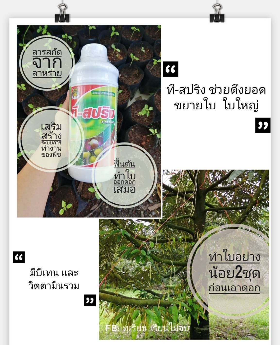 ที-ซีรีย์ อาหารพืช