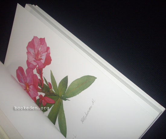 อารมณ์ดอกไม้