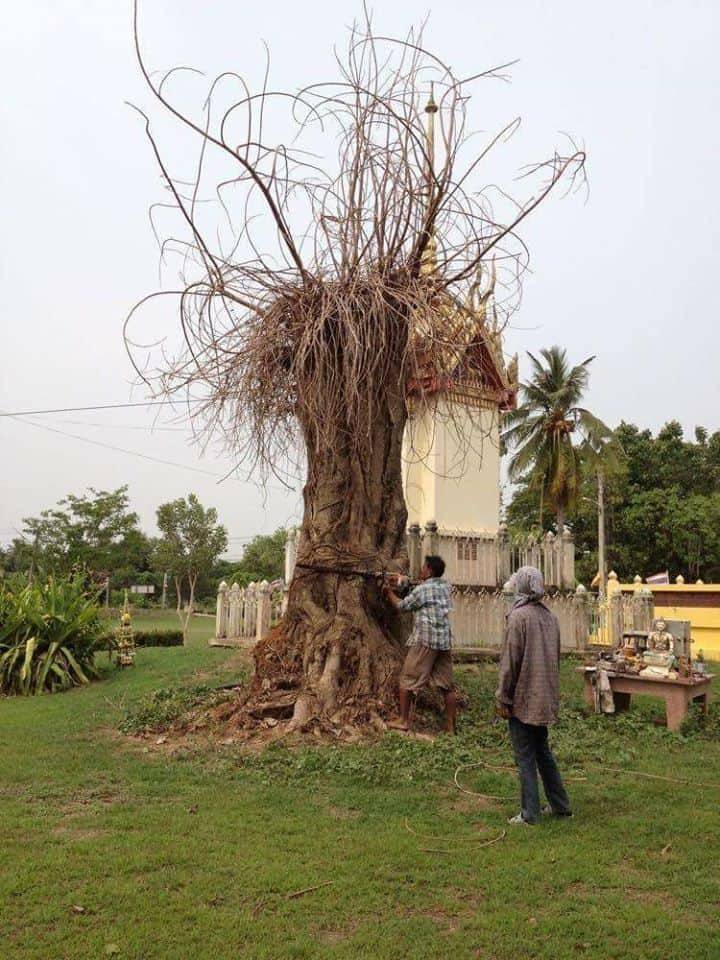 หุ่นพยนต์ พรายมงคล (ขนาดตั้งบูชา ฐานกว้าง4นิ้ว สูง12.5 นิ้ว) ปี2563 #รับประกันแท้ - หลวงพ่อเล็ก วัดท่าขนุน